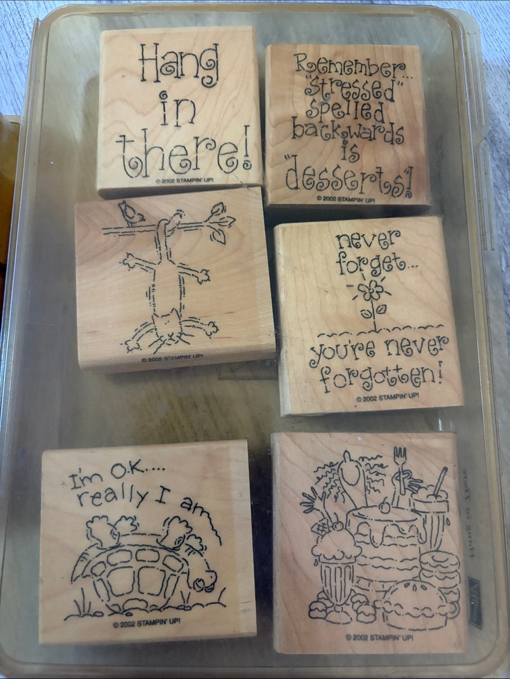 Stampin' Up! Retired sets Hang in There